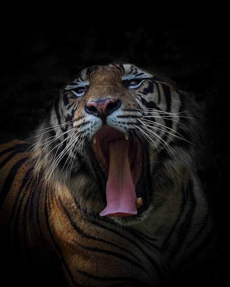 Photograph by Endra Agust