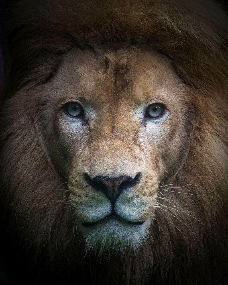 Photograph by Endra Agust