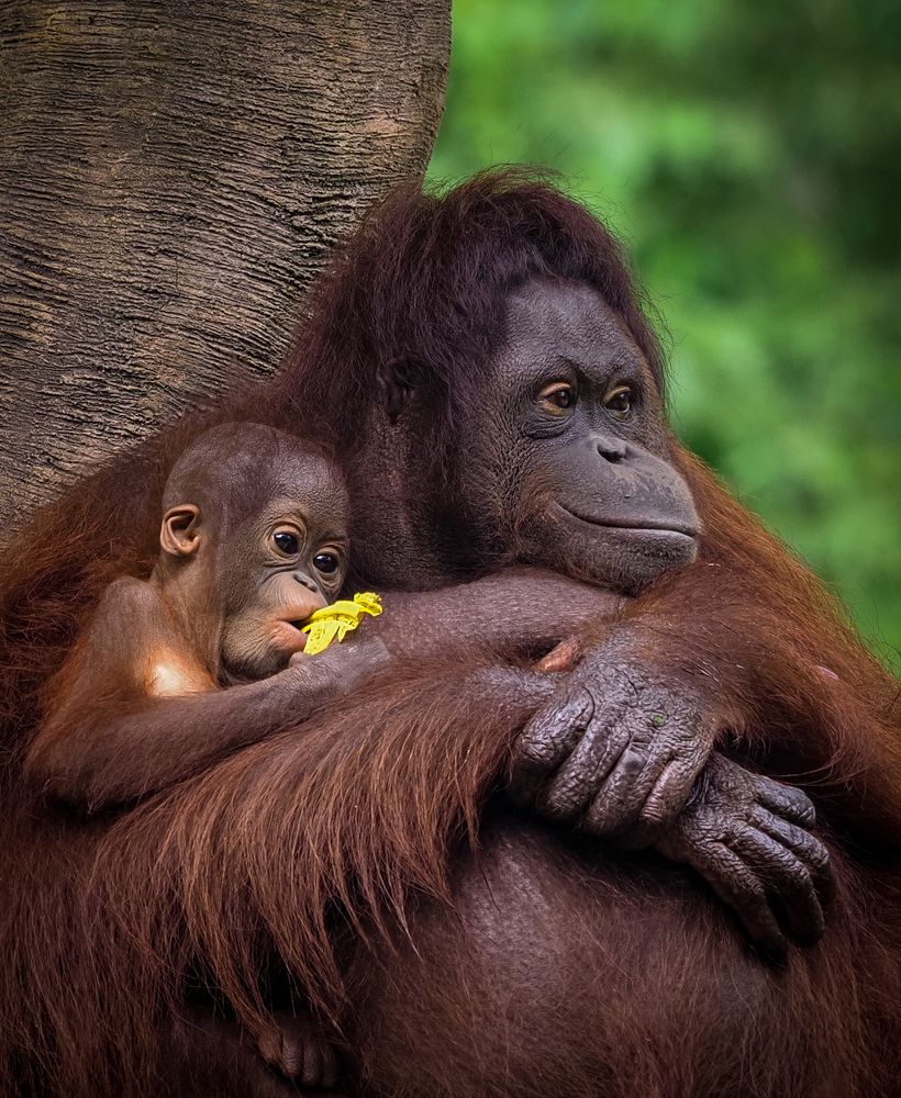 Photograph by Endra Agust