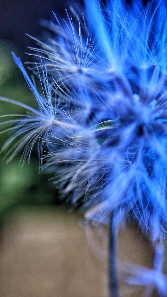 Photograph by Nileydi Colmenarez