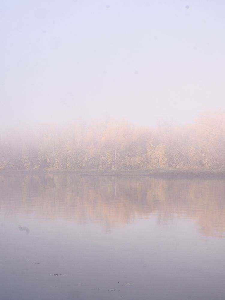 Photograph by Светлана Шибаршина