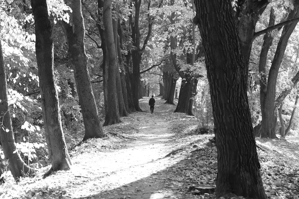 Photograph by Денис Сахаров