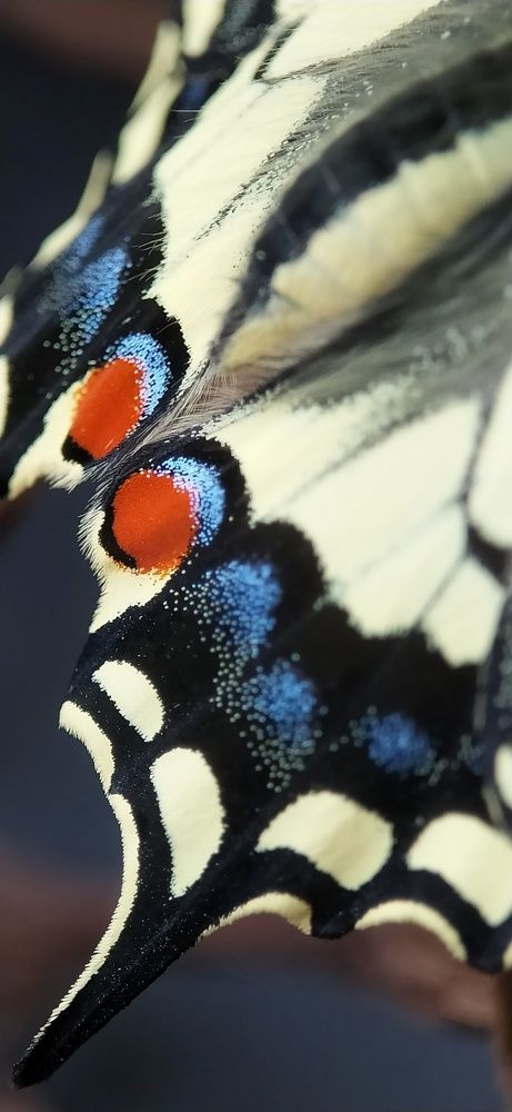 Photograph by Катерина Ермолаева