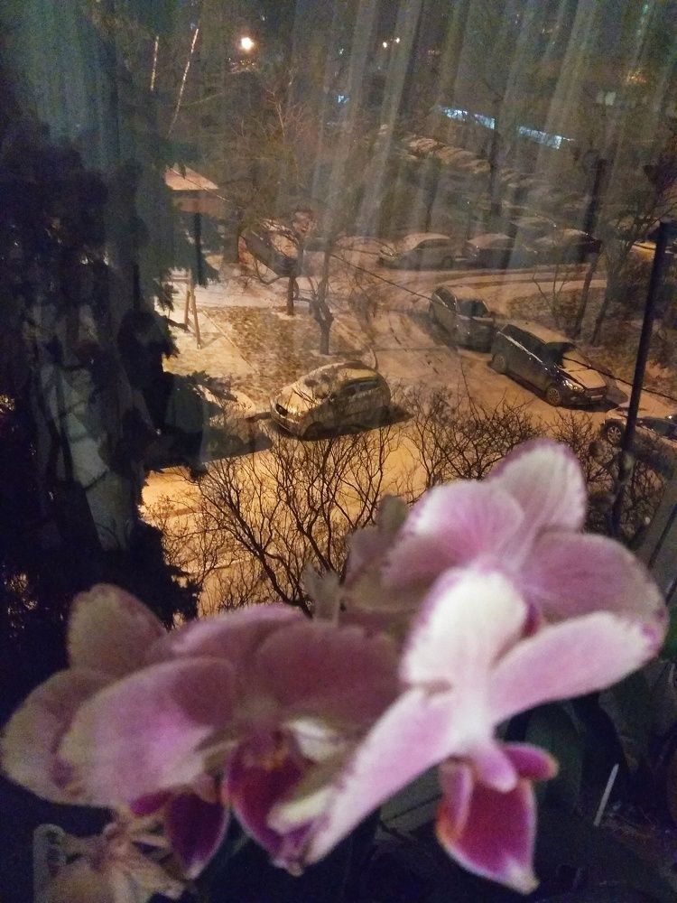 Photograph by Сергей Марцев