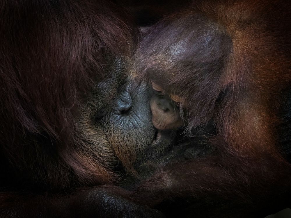 Photograph by Endra Agust