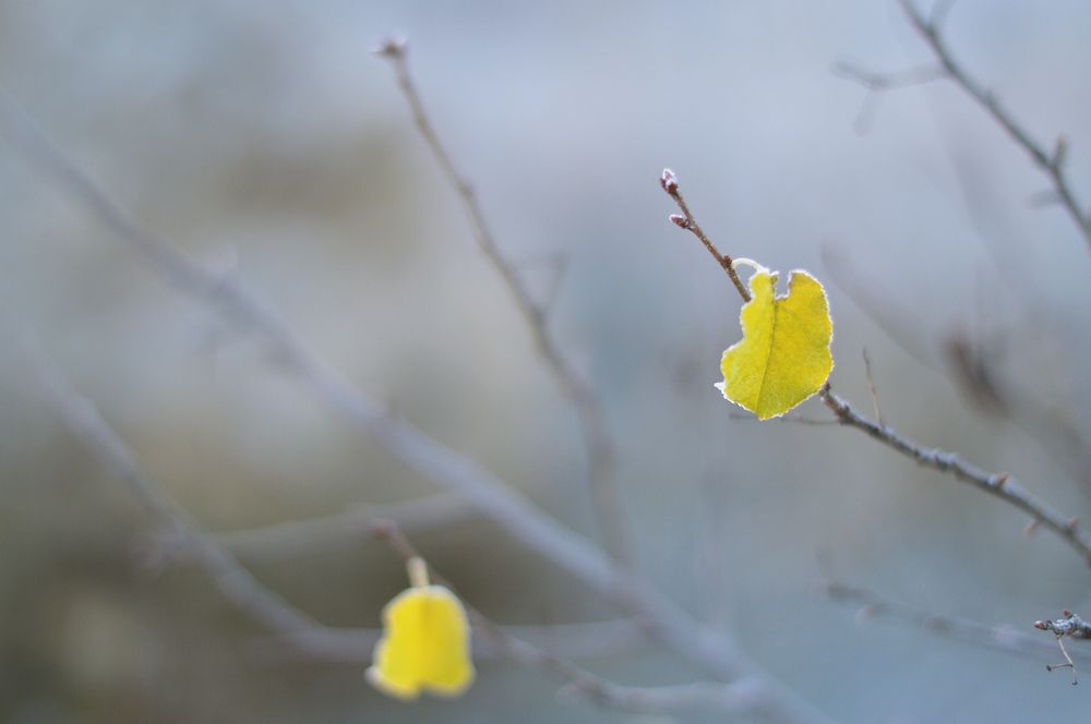 Обновление