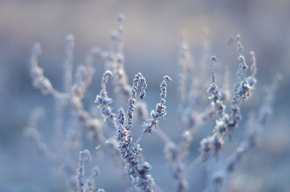 Воздушное утро