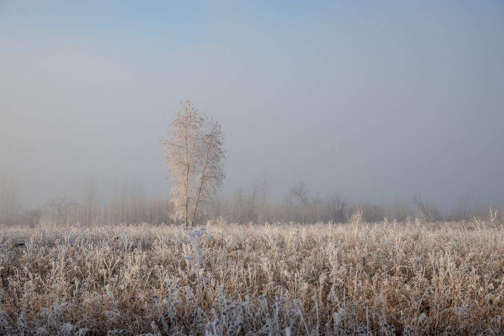 Фотография автора NIKOLAY KALININ