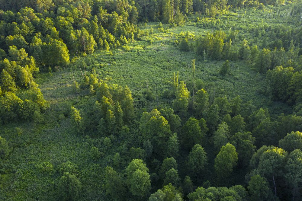 Фотография автора Михайло Павленко