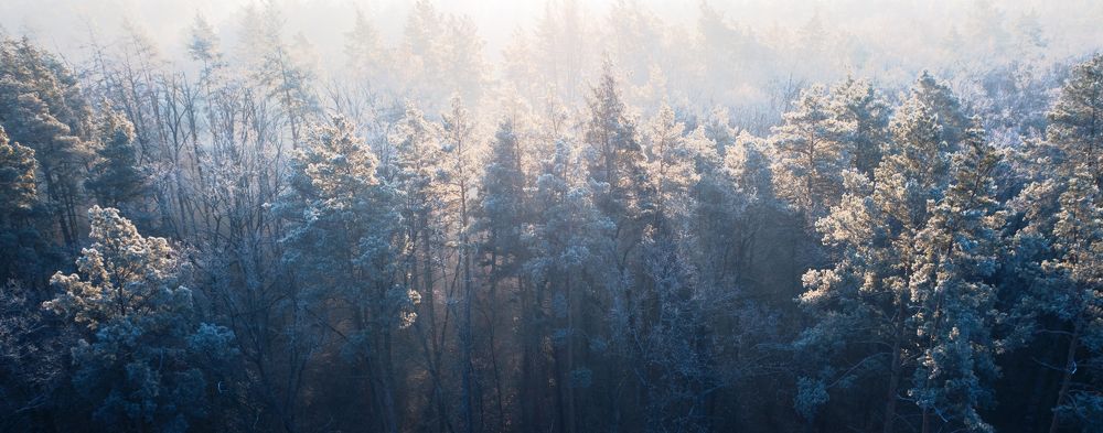 Фотография автора Михайло Павленко