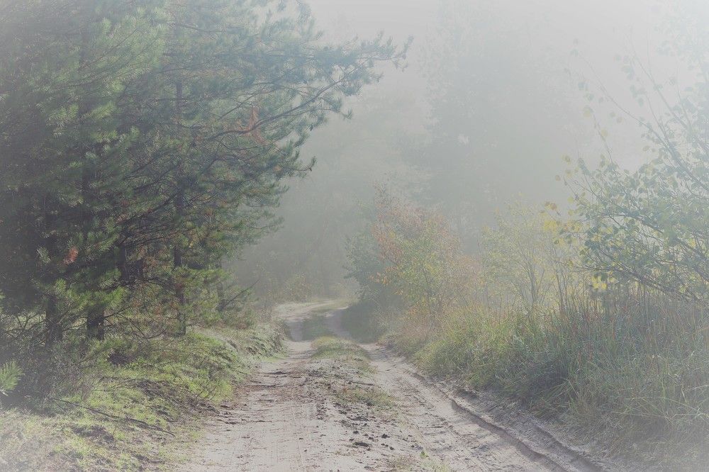 Photograph by Родосская Нонна