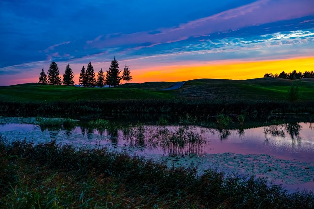 Фотография автора Александр Кременицкий