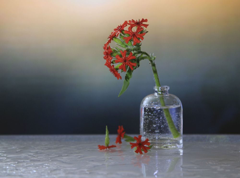 Photograph by Татьяна Панчешная