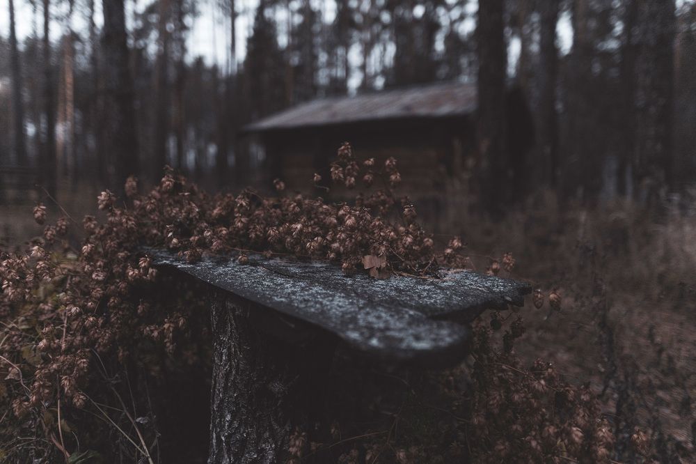 Фотография автора Александр Кременицкий