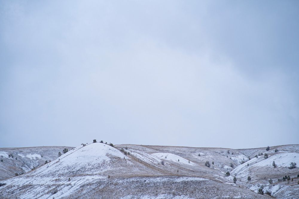 Фотография автора Александр Кременицкий
