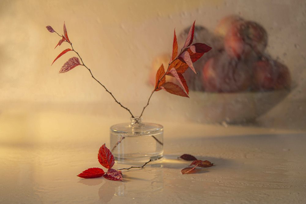 Photograph by Татьяна Панчешная