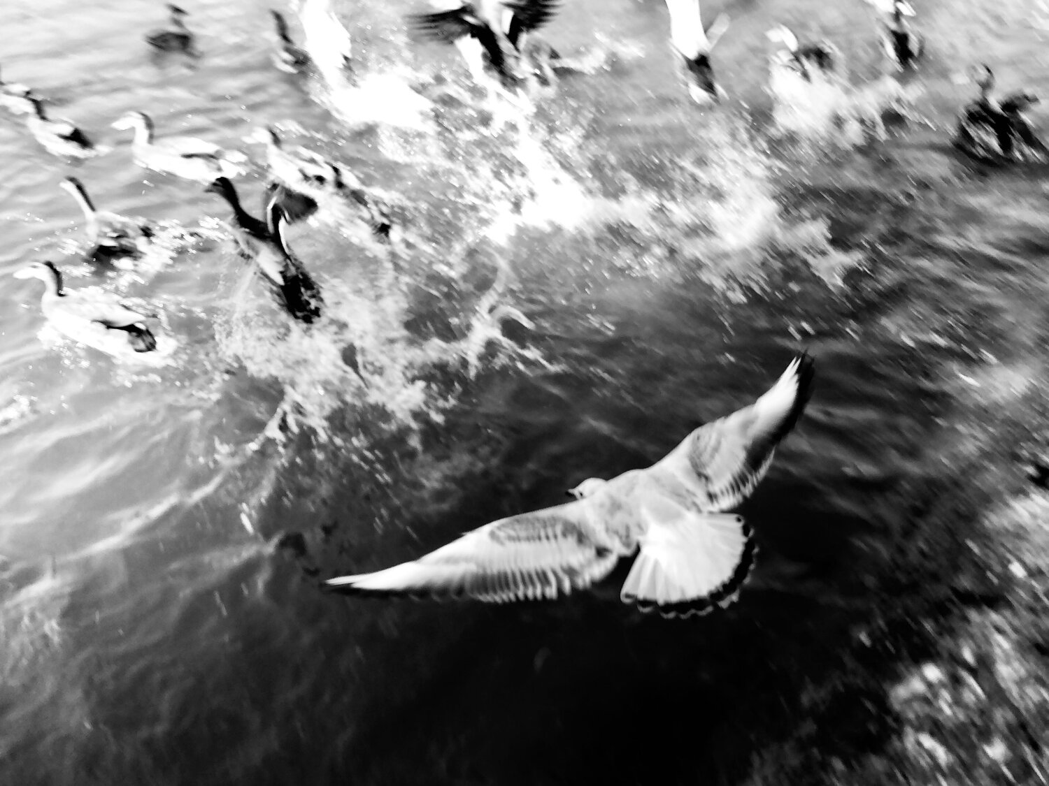 Photo #6786815