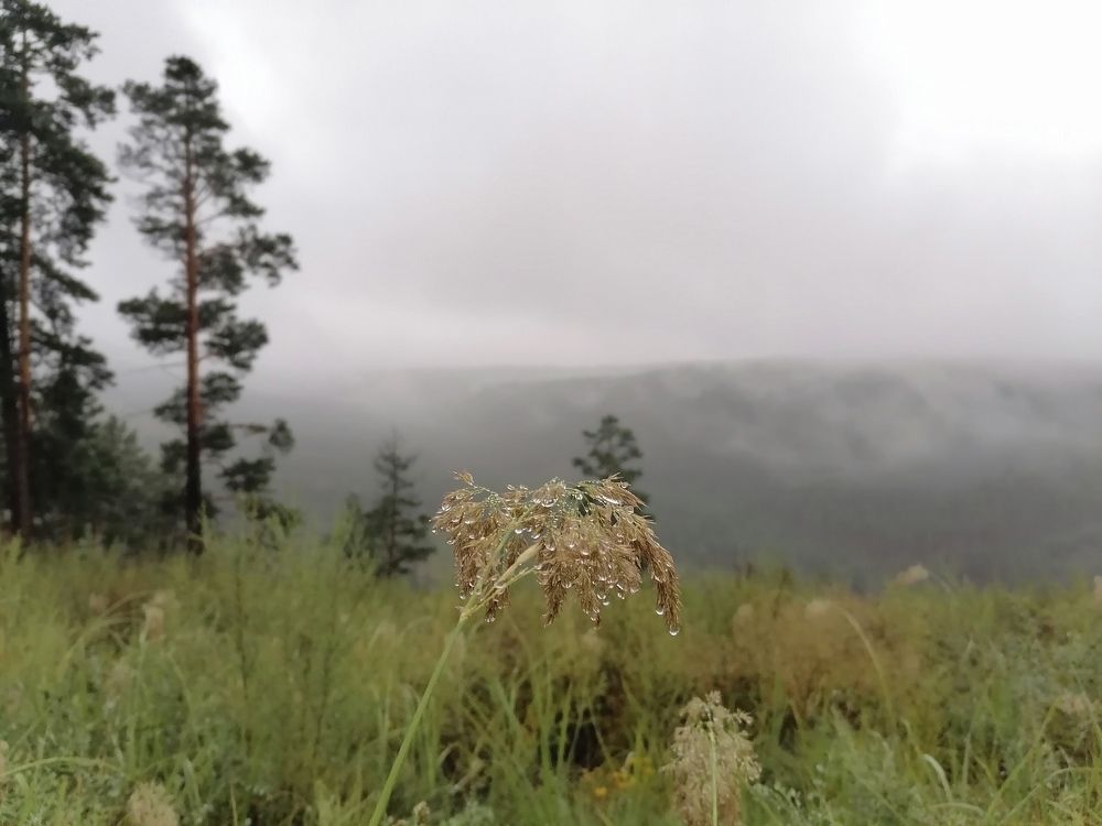 Photograph by Светлана