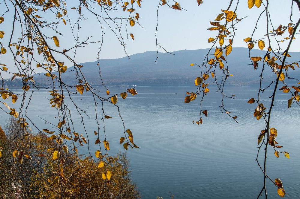 Взгляд сквозь осень..