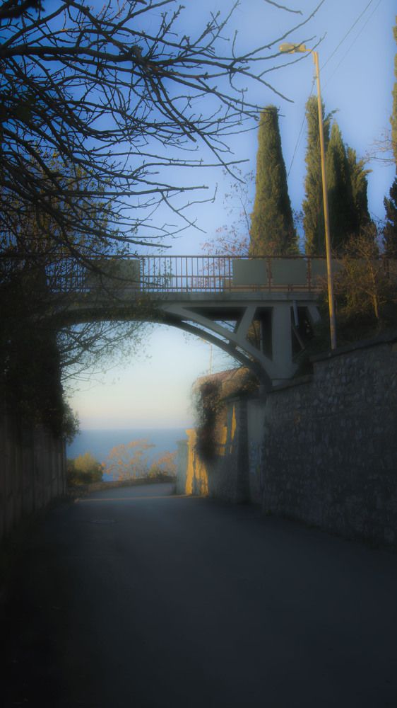 Photograph by Александр Натальин