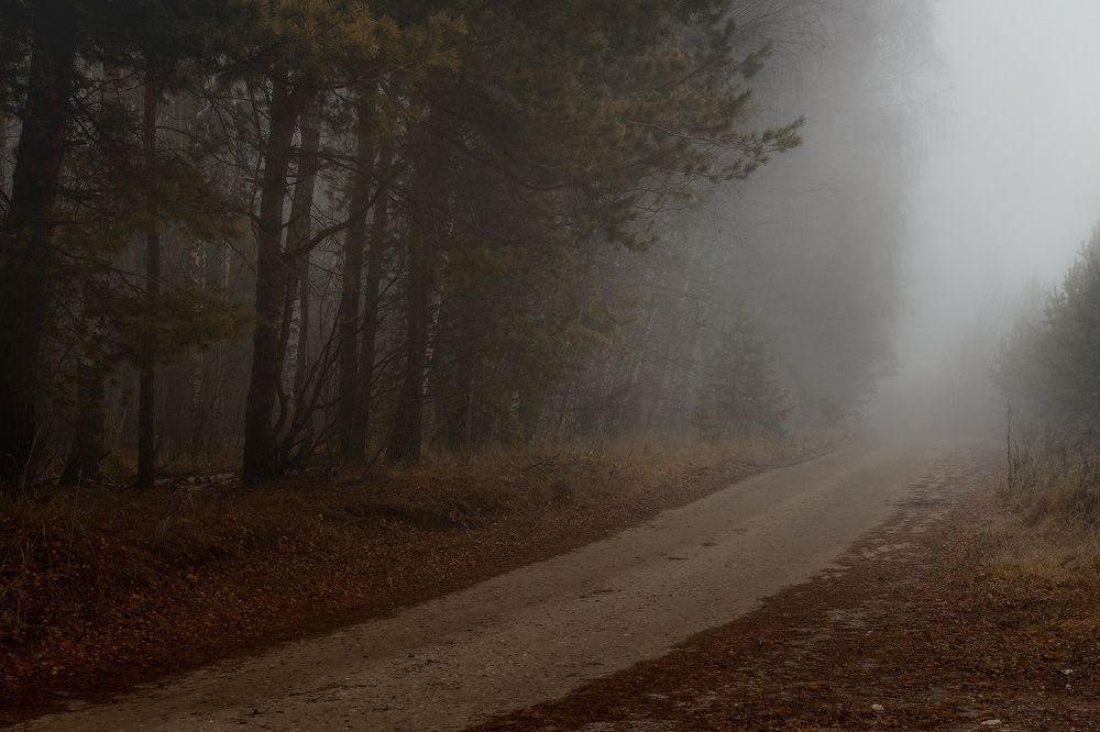 Photograph by Дементьев Владимир