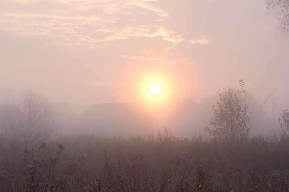 Фотография автора Олег Анатольевич Загорулько