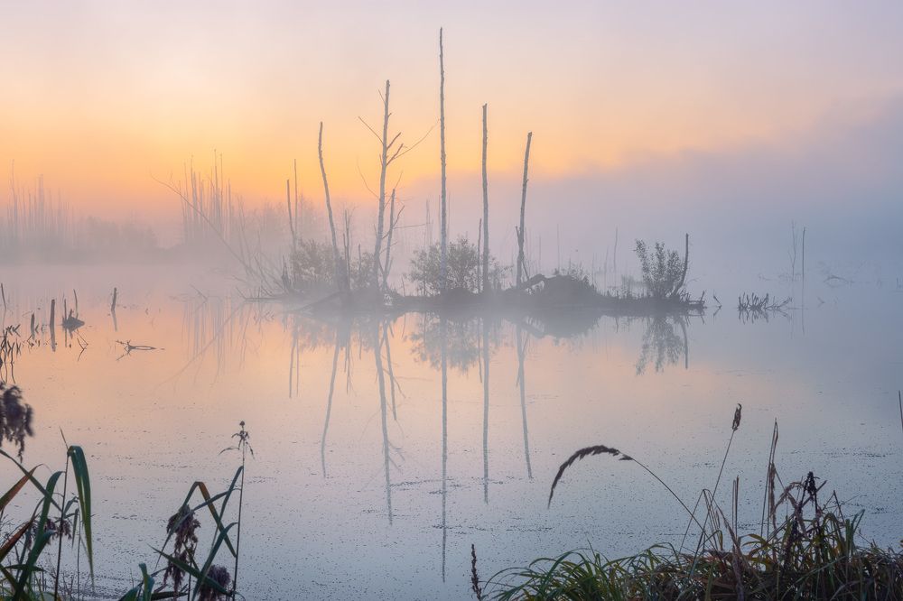 Photograph by Андрей Баскевич