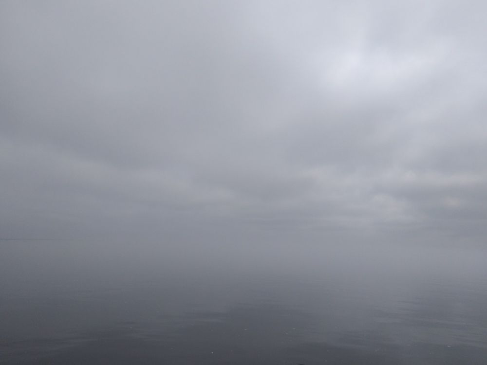 Photograph by Александр Козлов