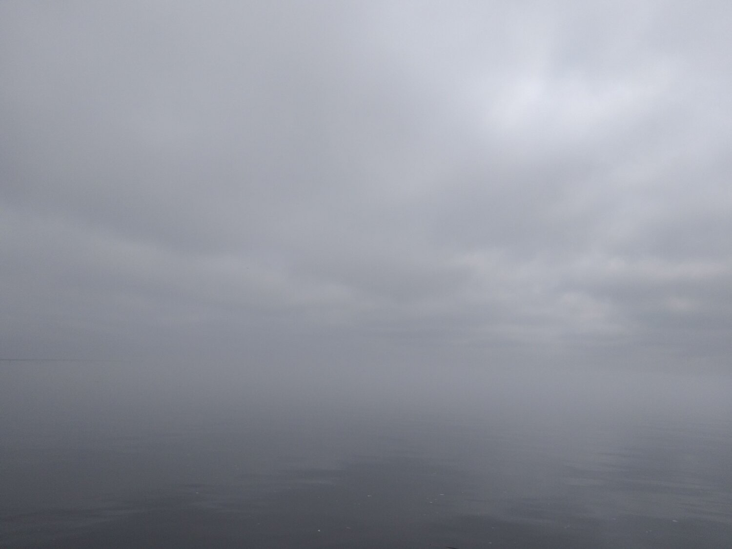 Photo #6787130