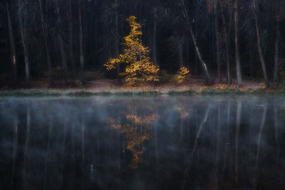 Photograph by Андрей Баскевич