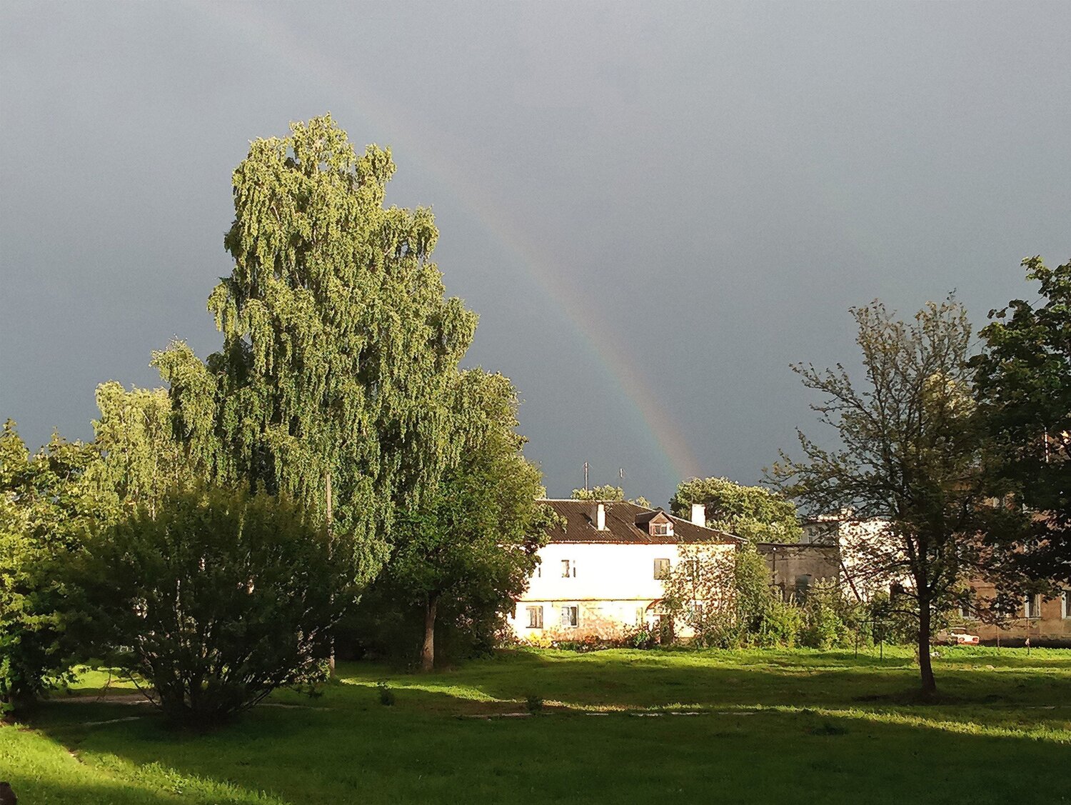 Photo #6787251