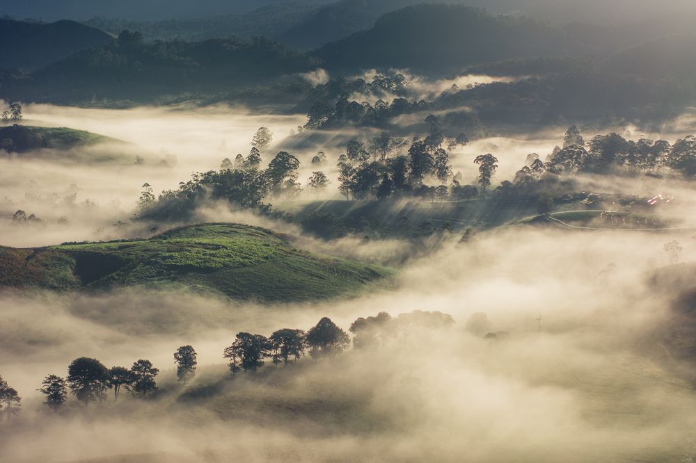 Photograph by Sriram Rajeswaran