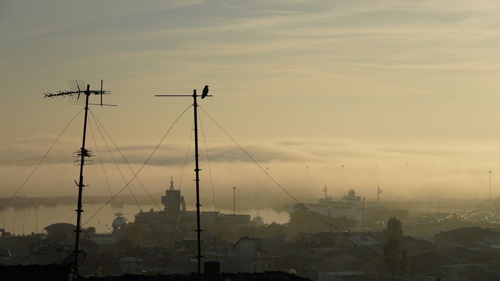 Photograph by David Pipia