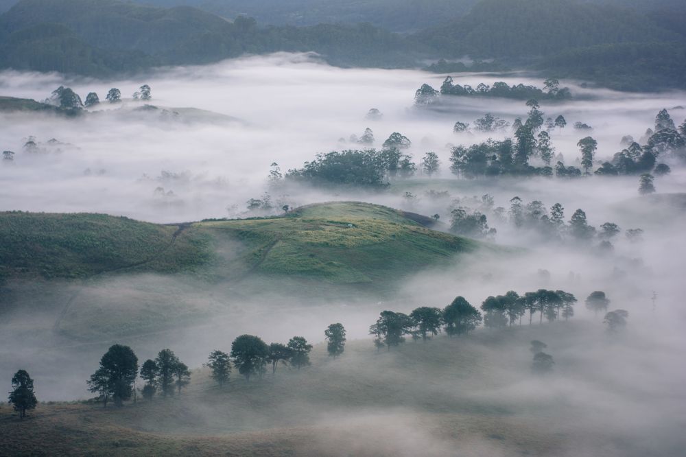 Photograph by Sriram Rajeswaran