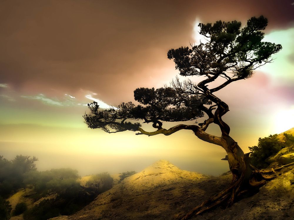 восход в горах