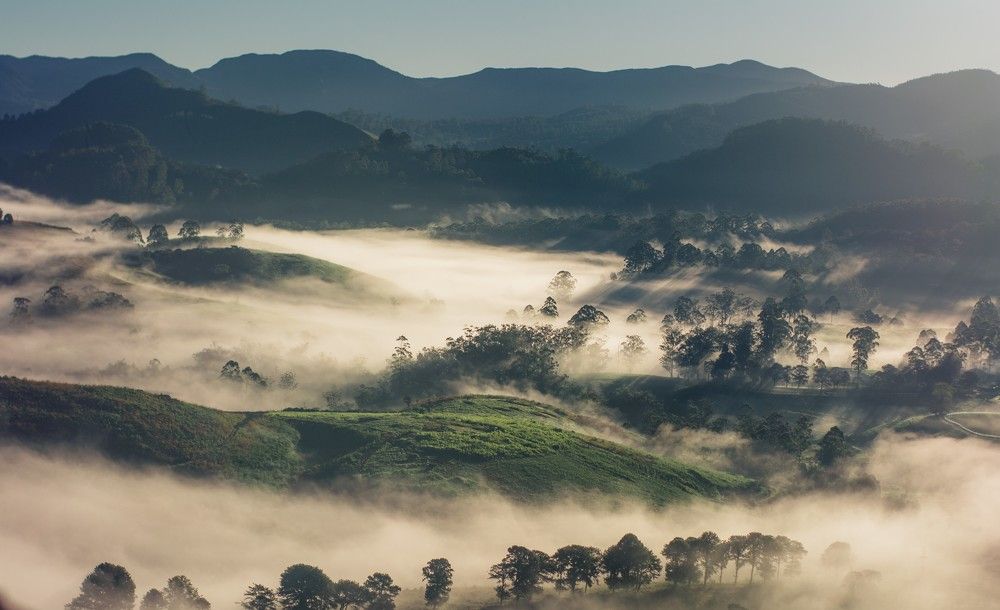 Photograph by Sriram Rajeswaran