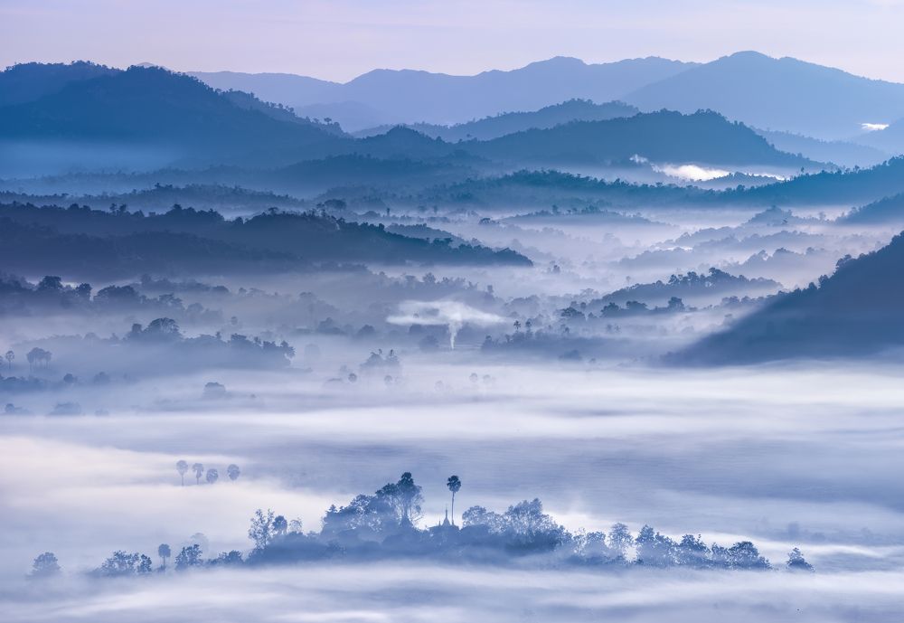 Photograph by Soft Light