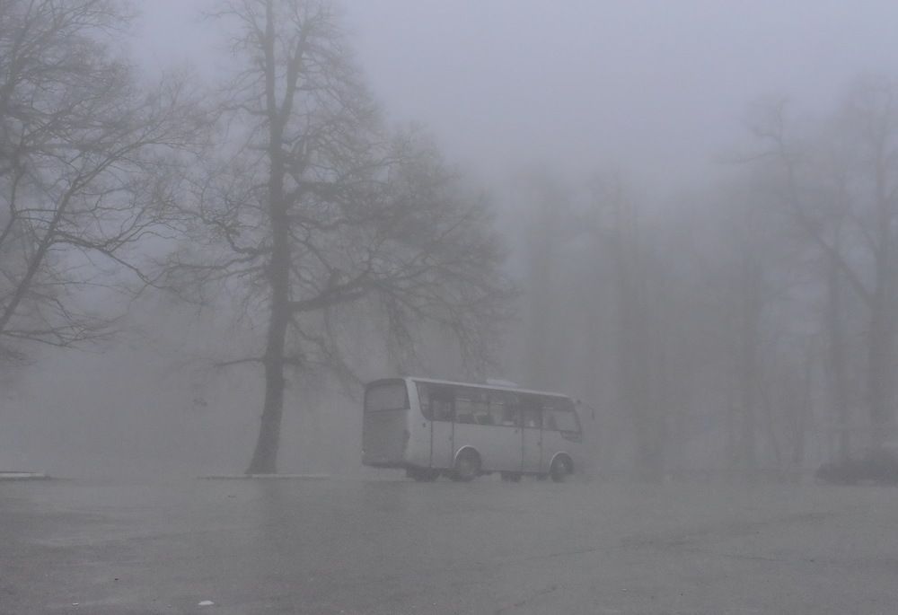 Фотография автора лилия беланова