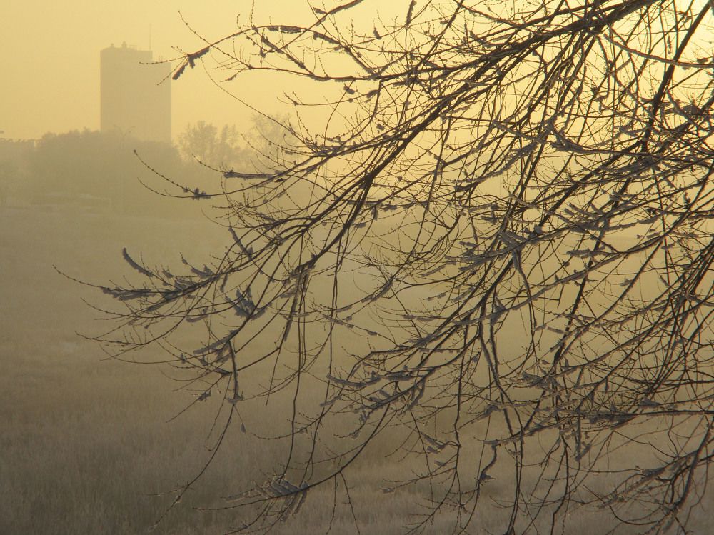 Photograph by Анастасия Старикова