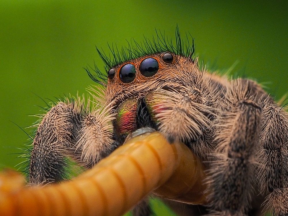 Photograph by Endra Agust