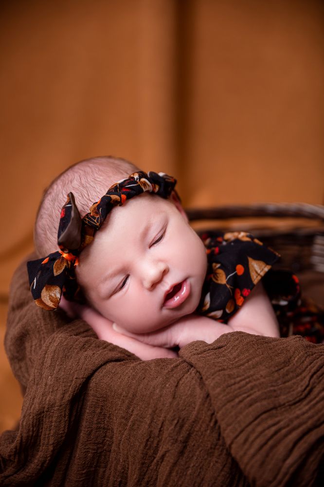 Фотография автора Светлана Климович