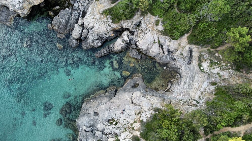 Photograph by Renate Tompsone