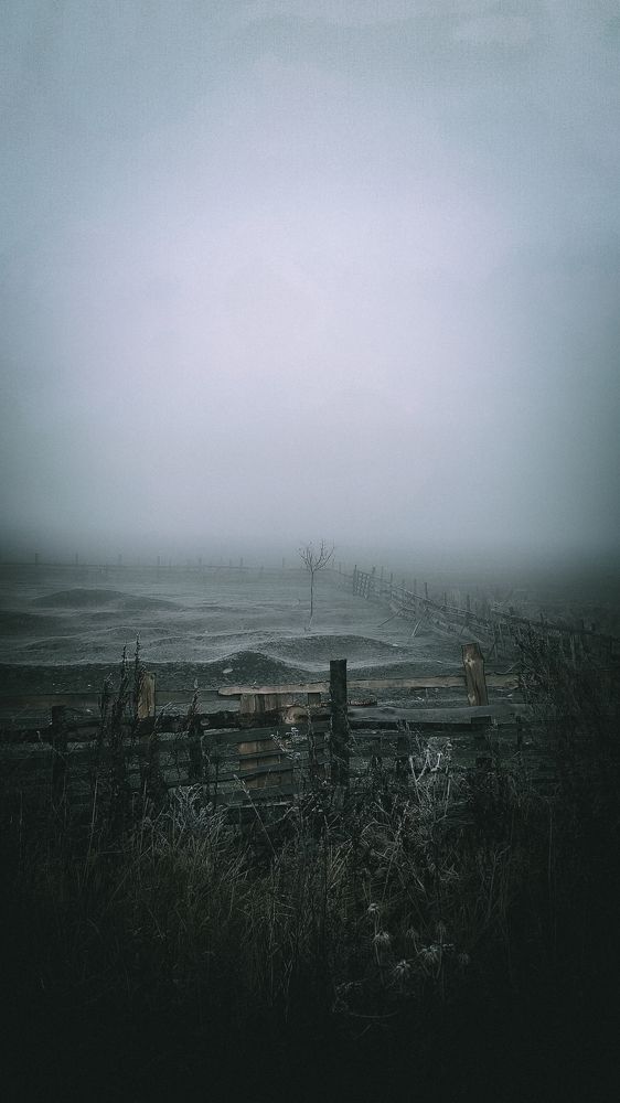 Photograph by Евгений Поляков