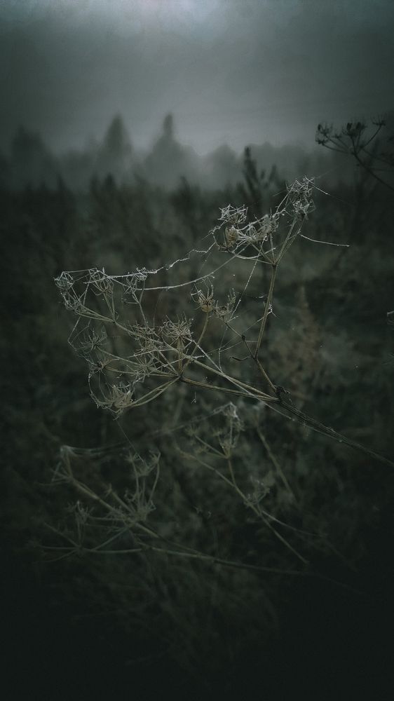 Photograph by Евгений Поляков