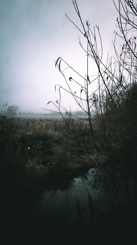 Photograph by Евгений Поляков