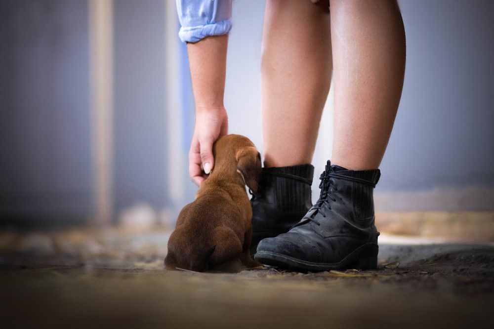 Photograph by Dorota Horváthová