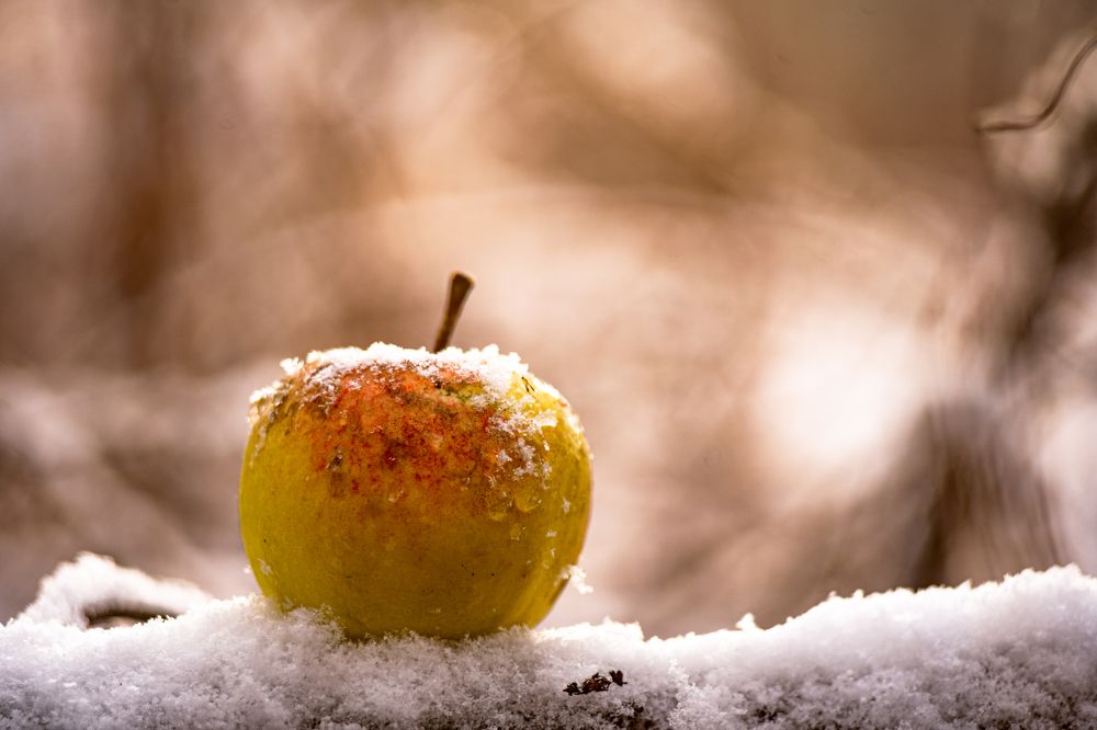 Photograph by Georgy Ivanov