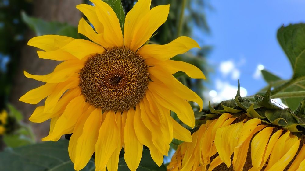 Photo #6787775