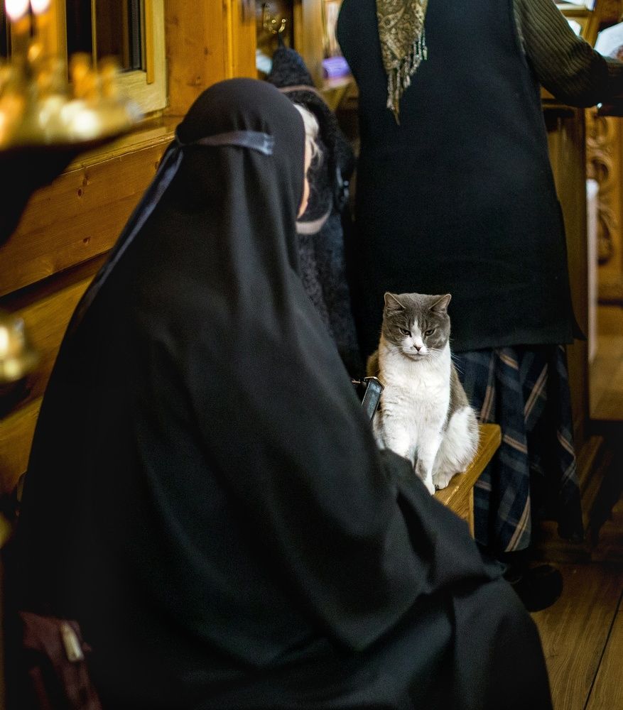 Photograph by Вероника Янина