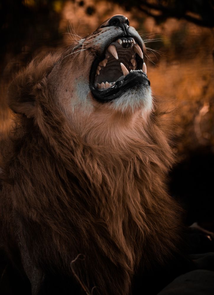 Photograph by Александр Шинкаревский